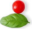 ifcrestaurants.com
